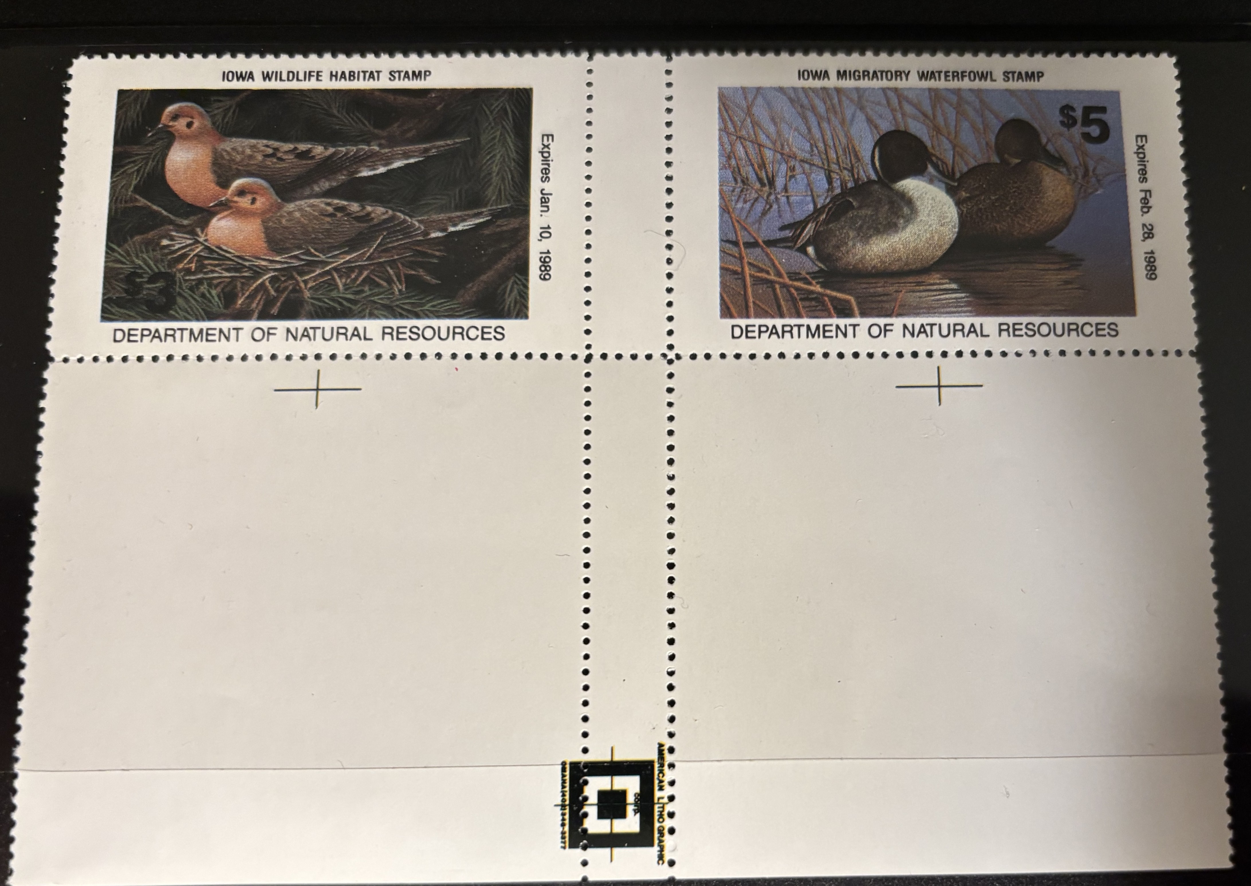 (image for) 1969 Iowa End Gutter Pair ERROR MNH